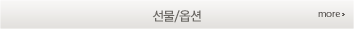 선물/옵션
