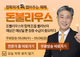 돈불리우스 전문가